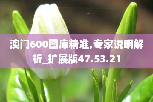 澳门600图库精准,专家说明解析_扩展版47.53.21