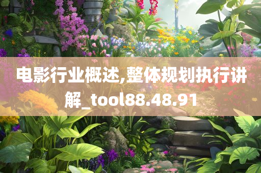 电影行业概述,整体规划执行讲解_tool88.48.91