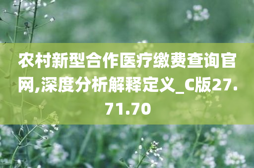 农村新型合作医疗缴费查询官网,深度分析解释定义_C版27.71.70