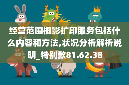 经营范围摄影扩印服务包括什么内容和方法,状况分析解析说明_特别款81.62.38