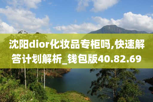 沈阳dior化妆品专柜吗,快速解答计划解析_钱包版40.82.69