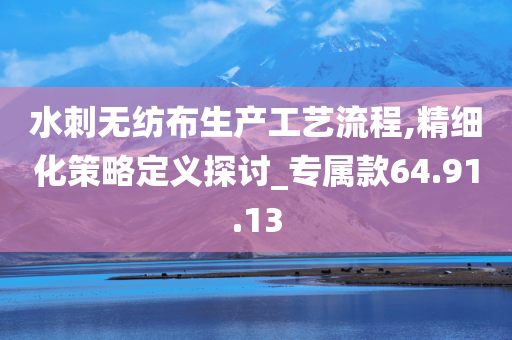 水刺无纺布生产工艺流程,精细化策略定义探讨_专属款64.91.13