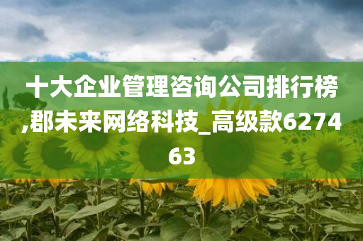 十大企业管理咨询公司排行榜,郡未来网络科技_高级款627463