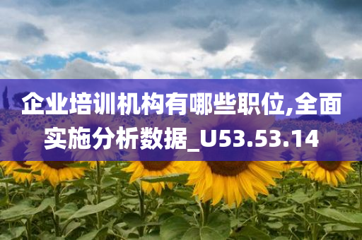 企业培训机构有哪些职位,全面实施分析数据_U53.53.14