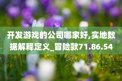 开发游戏的公司哪家好,实地数据解释定义_冒险款71.86.54