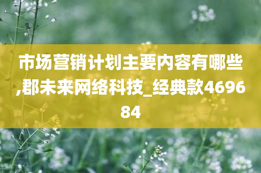 市场营销计划主要内容有哪些,郡未来网络科技_经典款469684