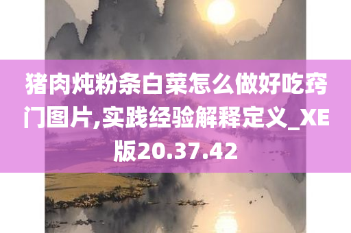 猪肉炖粉条白菜怎么做好吃窍门图片,实践经验解释定义_XE版20.37.42