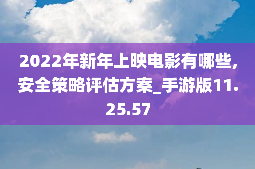 2022年新年上映电影有哪些,安全策略评估方案_手游版11.25.57