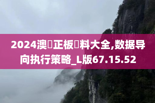 2024澳門正板資料大全,数据导向执行策略_L版67.15.52