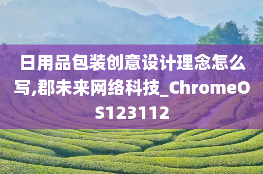 日用品包装创意设计理念怎么写,郡未来网络科技_ChromeOS123112