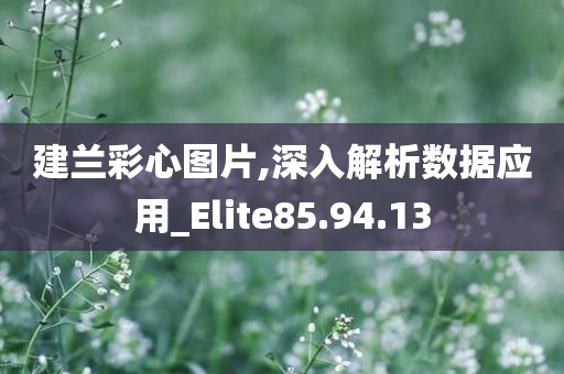 建兰彩心图片,深入解析数据应用_Elite85.94.13