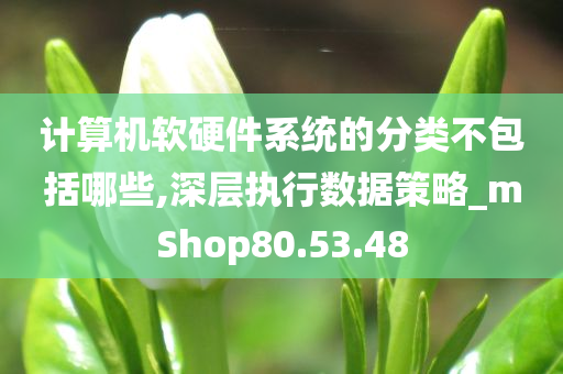 计算机软硬件系统的分类不包括哪些,深层执行数据策略_mShop80.53.48