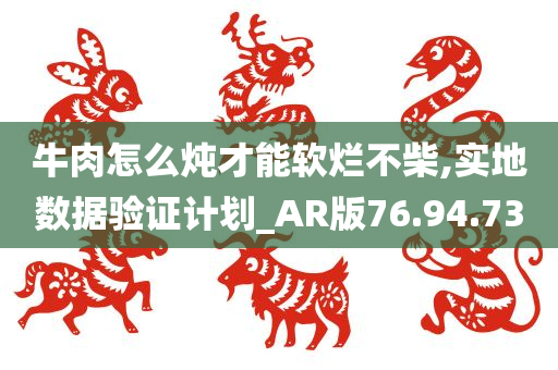 牛肉怎么炖才能软烂不柴,实地数据验证计划_AR版76.94.73