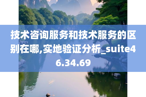 技术咨询服务和技术服务的区别在哪,实地验证分析_suite46.34.69