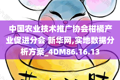 中国农业技术推广协会柑橘产业促进分会 新华网,实地数据分析方案_4DM86.16.13