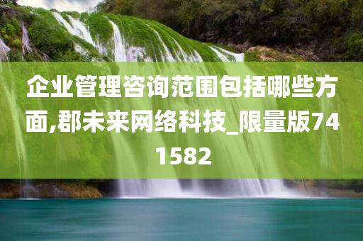 企业管理咨询范围包括哪些方面,郡未来网络科技_限量版741582