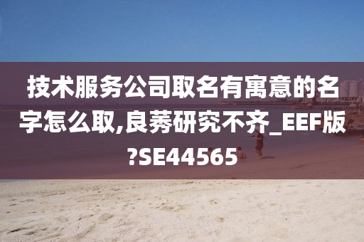 技术服务公司取名有寓意的名字怎么取,良莠研究不齐_EEF版?SE44565