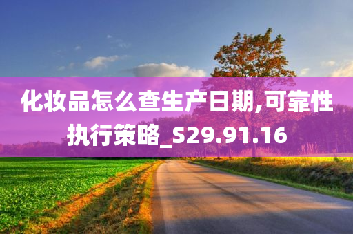 化妆品怎么查生产日期,可靠性执行策略_S29.91.16