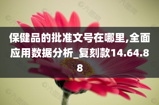 保健品的批准文号在哪里,全面应用数据分析_复刻款14.64.88