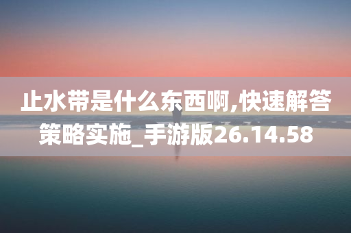 止水带是什么东西啊,快速解答策略实施_手游版26.14.58