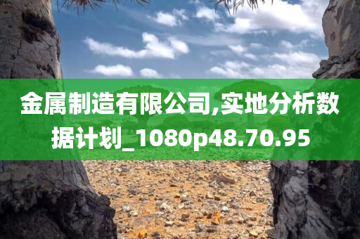 金属制造有限公司,实地分析数据计划_1080p48.70.95