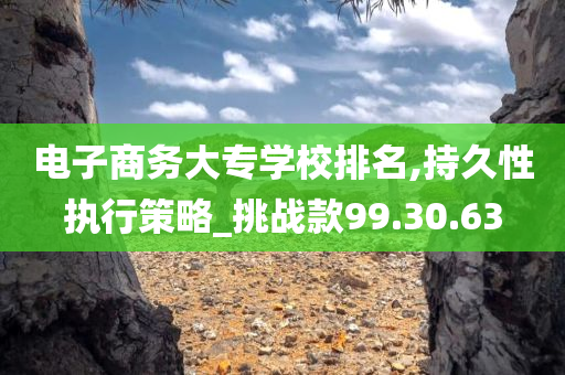 电子商务大专学校排名,持久性执行策略_挑战款99.30.63