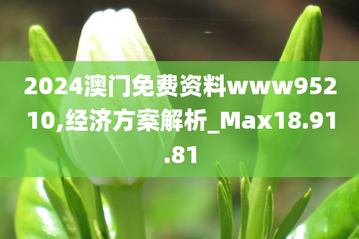 2024澳门免费资料www95210,经济方案解析_Max18.91.81