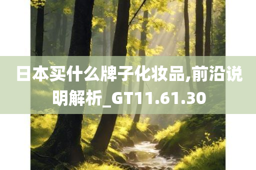 日本买什么牌子化妆品,前沿说明解析_GT11.61.30