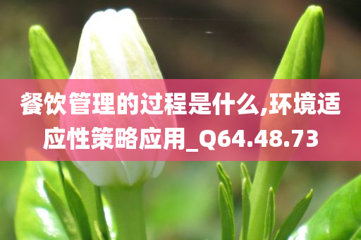 餐饮管理的过程是什么,环境适应性策略应用_Q64.48.73