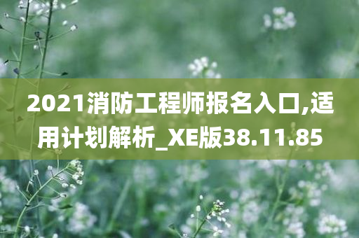 2021消防工程师报名入口,适用计划解析_XE版38.11.85