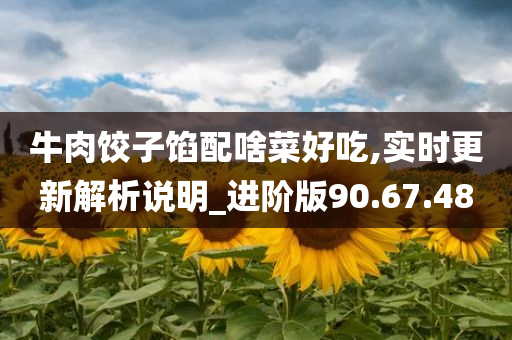 牛肉饺子馅配啥菜好吃,实时更新解析说明_进阶版90.67.48