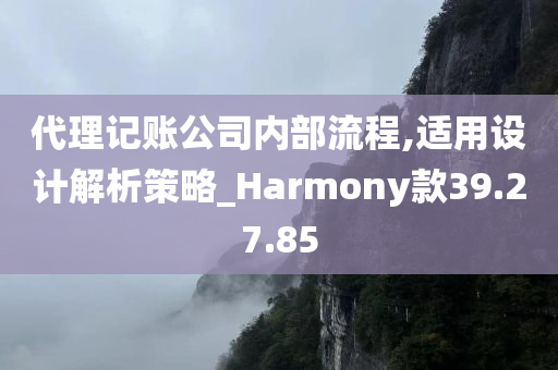 代理记账公司内部流程,适用设计解析策略_Harmony款39.27.85