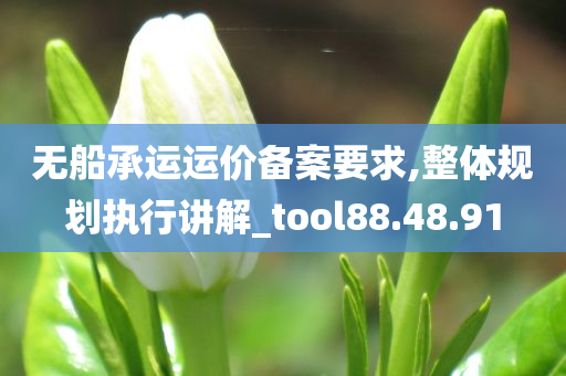 无船承运运价备案要求,整体规划执行讲解_tool88.48.91