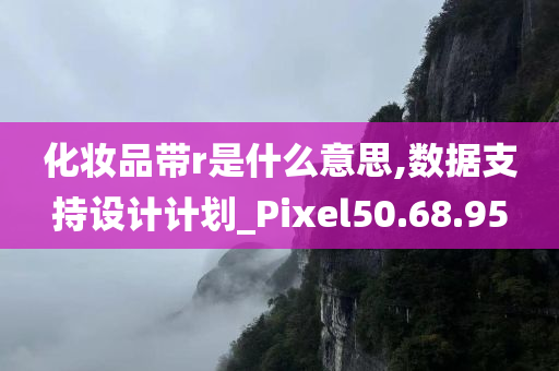 化妆品带r是什么意思,数据支持设计计划_Pixel50.68.95