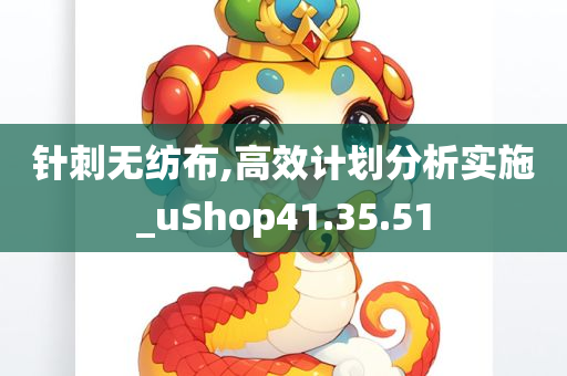 针刺无纺布,高效计划分析实施_uShop41.35.51