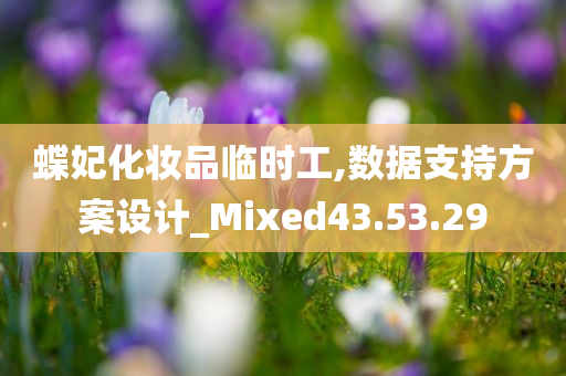 蝶妃化妆品临时工,数据支持方案设计_Mixed43.53.29