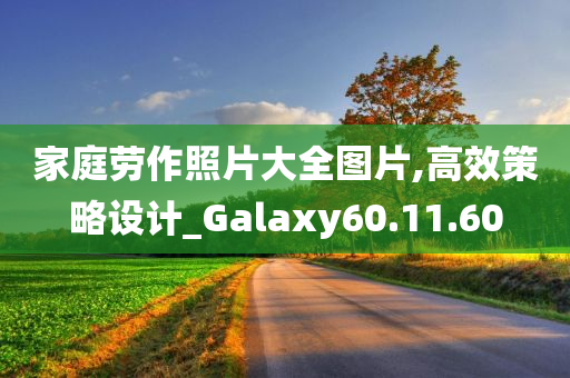 家庭劳作照片大全图片,高效策略设计_Galaxy60.11.60