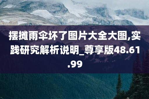 摆摊雨伞坏了图片大全大图,实践研究解析说明_尊享版48.61.99