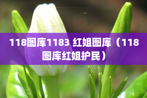 118图库1183 红姐图库（118图库红姐护民）