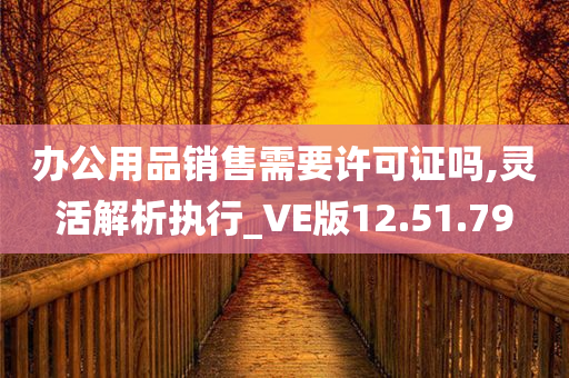 办公用品销售需要许可证吗,灵活解析执行_VE版12.51.79