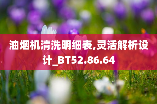 油烟机清洗明细表,灵活解析设计_BT52.86.64