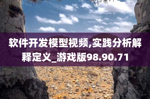 软件开发模型视频,实践分析解释定义_游戏版98.90.71