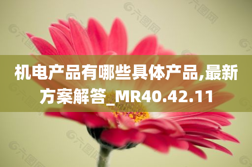 机电产品有哪些具体产品,最新方案解答_MR40.42.11