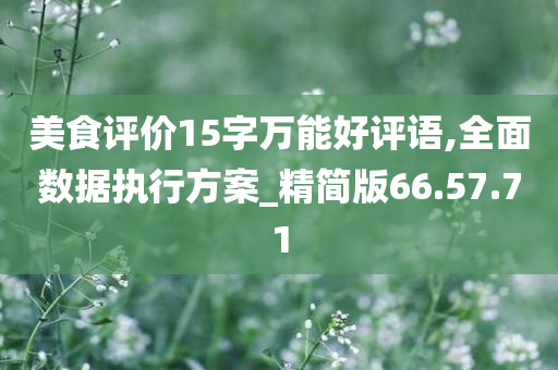 美食评价15字万能好评语,全面数据执行方案_精简版66.57.71