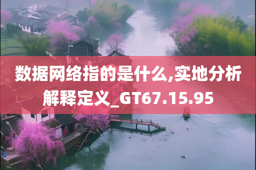 数据网络指的是什么,实地分析解释定义_GT67.15.95