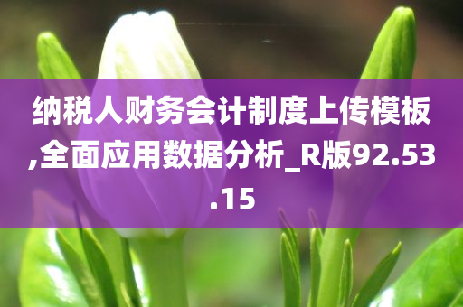 纳税人财务会计制度上传模板,全面应用数据分析_R版92.53.15