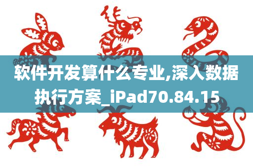 软件开发算什么专业,深入数据执行方案_iPad70.84.15