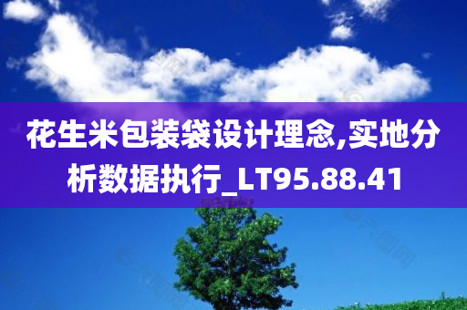 花生米包装袋设计理念,实地分析数据执行_LT95.88.41