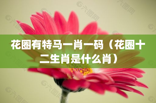 花圈有特马一肖一码（花圈十二生肖是什么肖）