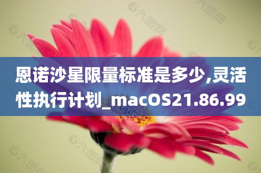 恩诺沙星限量标准是多少,灵活性执行计划_macOS21.86.99